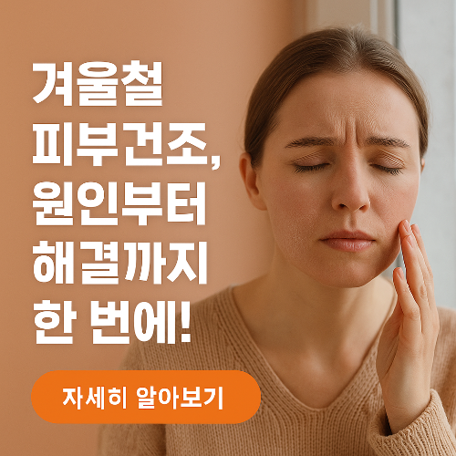 겨울철 피부건조 원인 5가지와 보습관리 꿀팁
