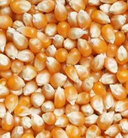 백내장에 좋은 음식 영양제 식단