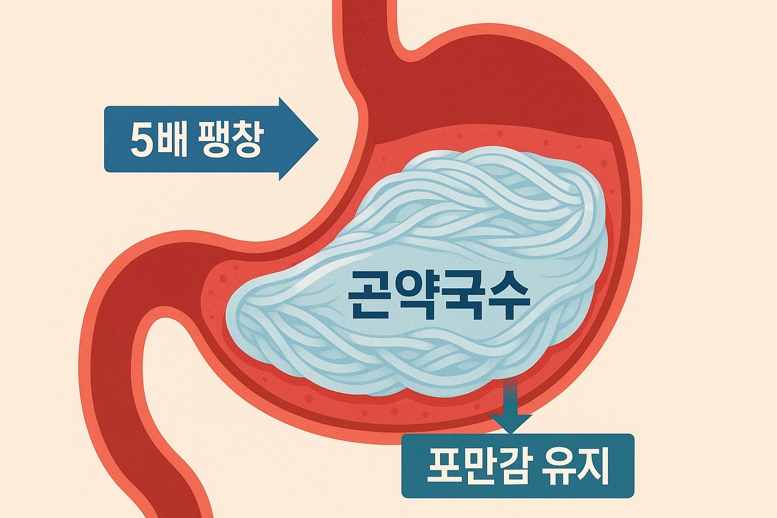 &quot;곤약국수는 과연 포만감이 있을까?&quot;에 대한 이미지입니다.