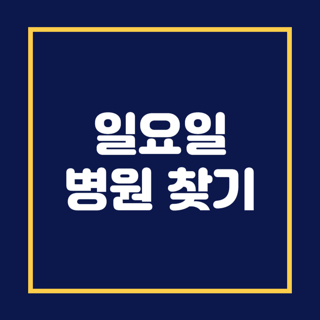 일요일 병원 찾기