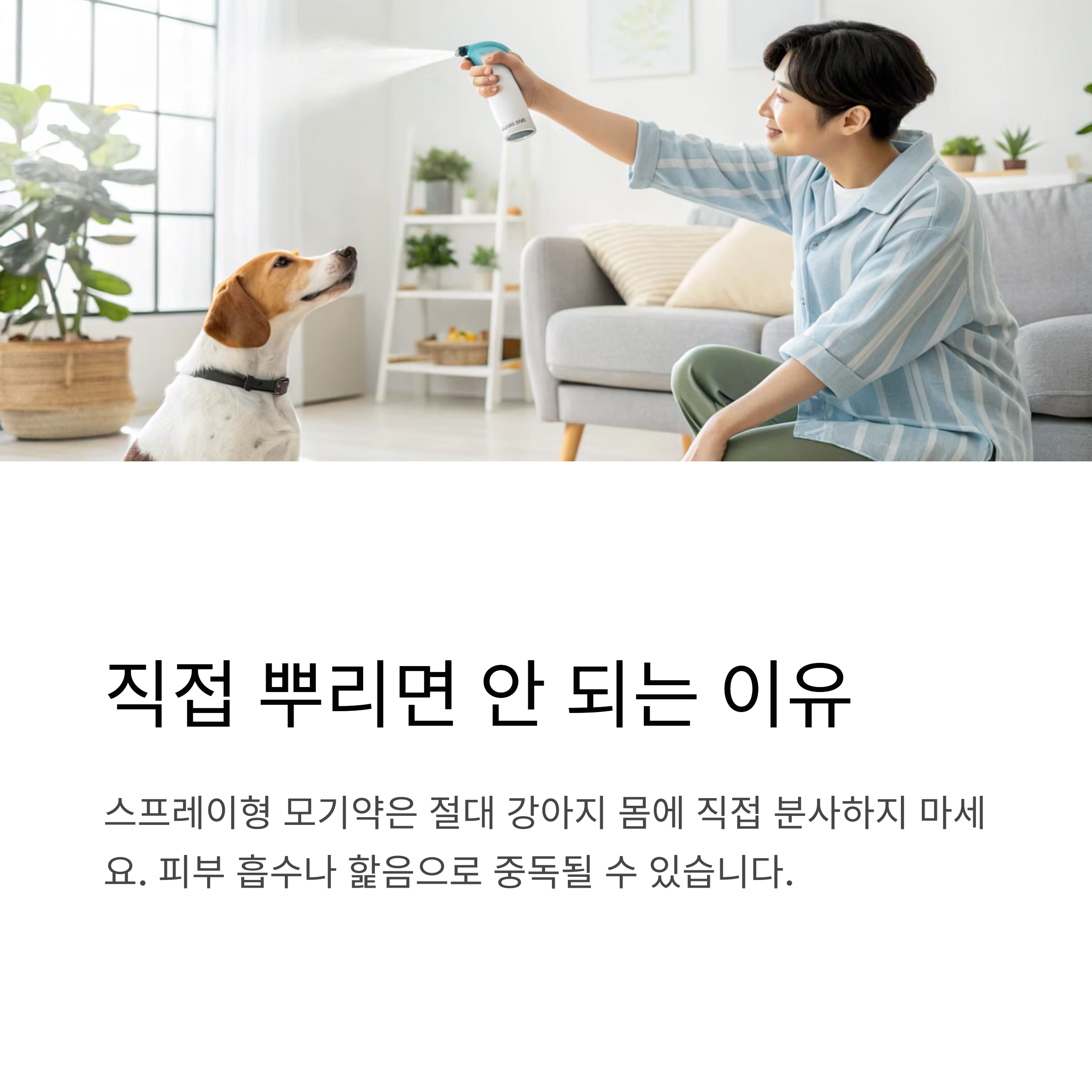 직접 뿌리면 안 되는 이유