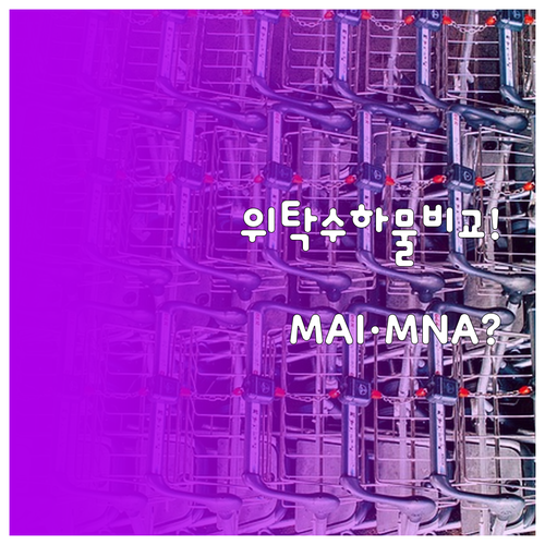 MAI와 MNA의 최신 위탁수하물 규..