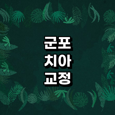 군포시 교정 치과