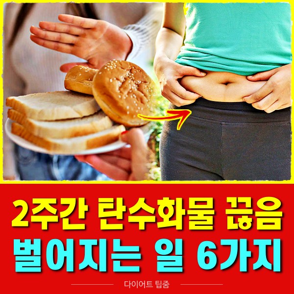 2주동안 탄수화물 끊으면, 저탄고지 부작용, 탄수화물 끊기 다이어트 어려운 이유, 팁줌