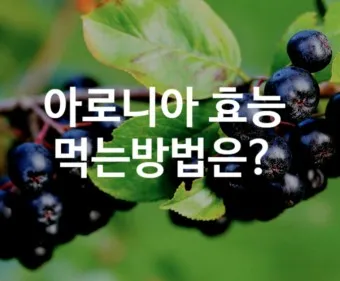 아로니아 효능 칼로리 권장섭취량_21