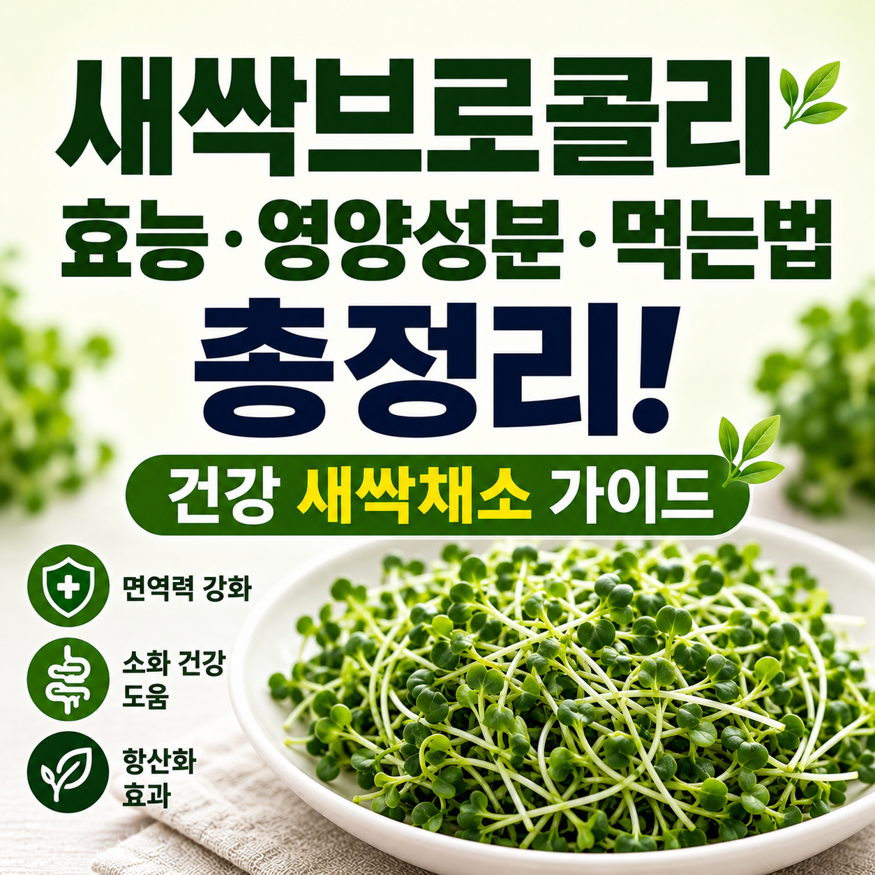 새싹브로콜리 효능