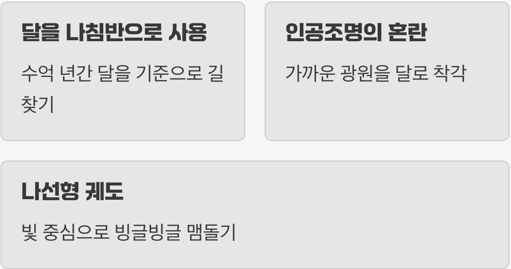 먼저 적을 알자, 그들은 왜 불빛으로 돌진할까?