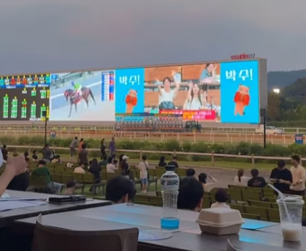 플라워 포토존 야간 조명