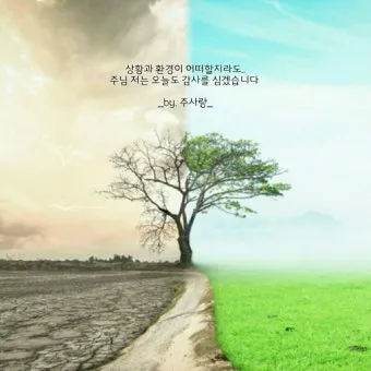 가나안 땅 이스라엘 민수기 13장_26