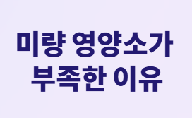 먹어도 계속 배고프면? 당뇨 환자의 영양소 부족 신호