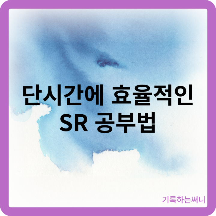 SR공부법썸네일