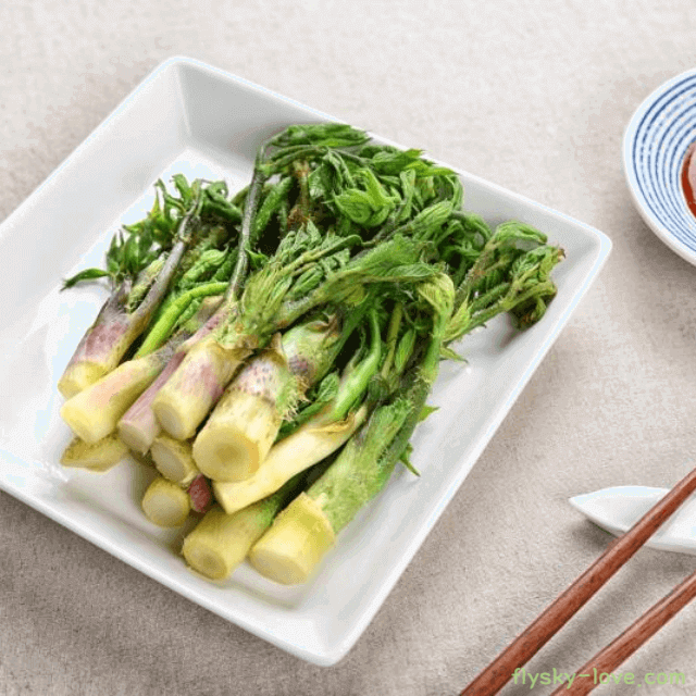 두릅 고르는 법