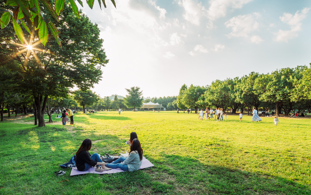 서울근교벚꽃명소