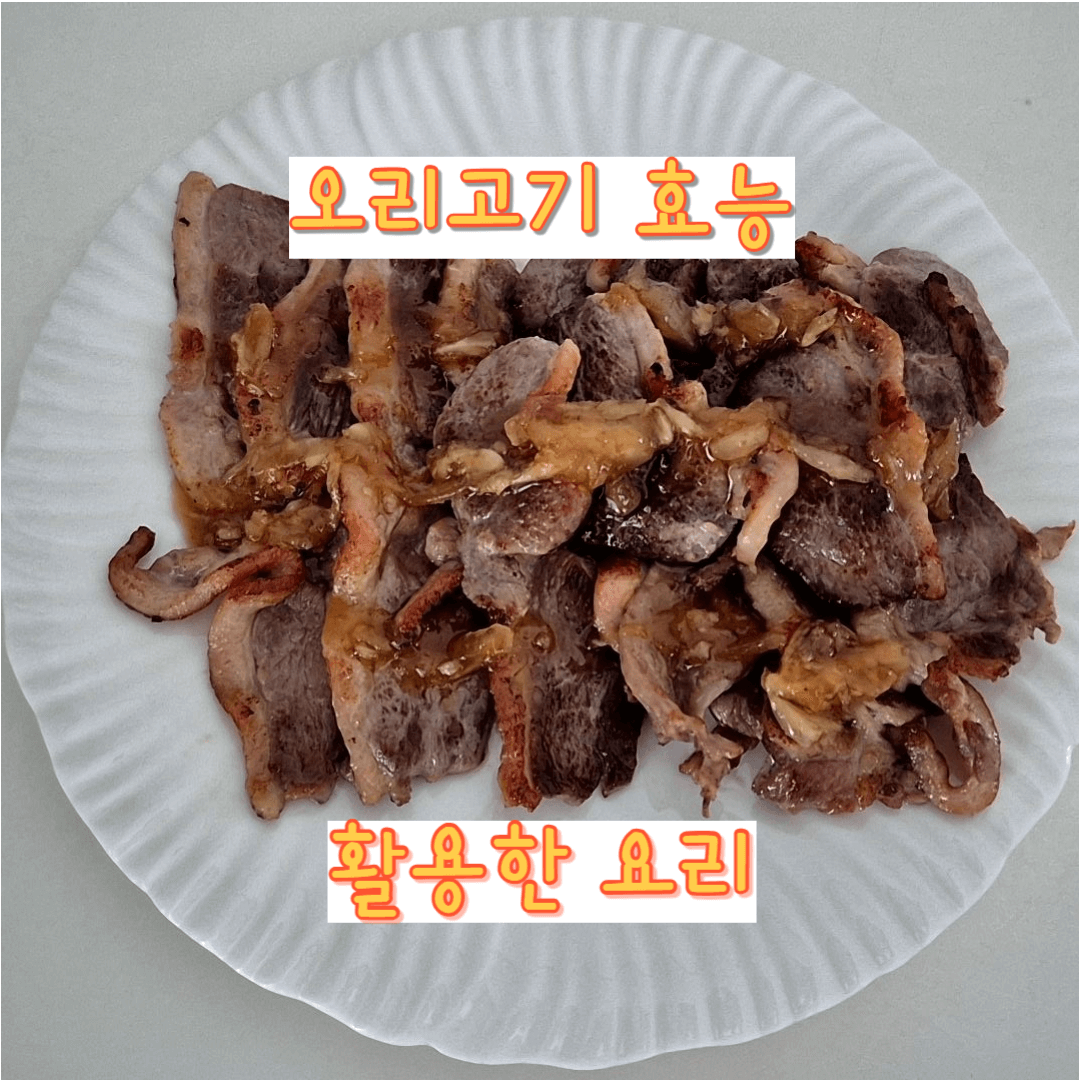 오리고기 효능