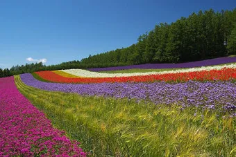 홋카이도 여름 여행코스 4박5일 일정과 맛집 정보 정리_45