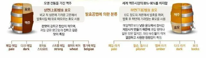 발효 방법에 따라 맛이 달라지므로, 효모 차이를 이해하기