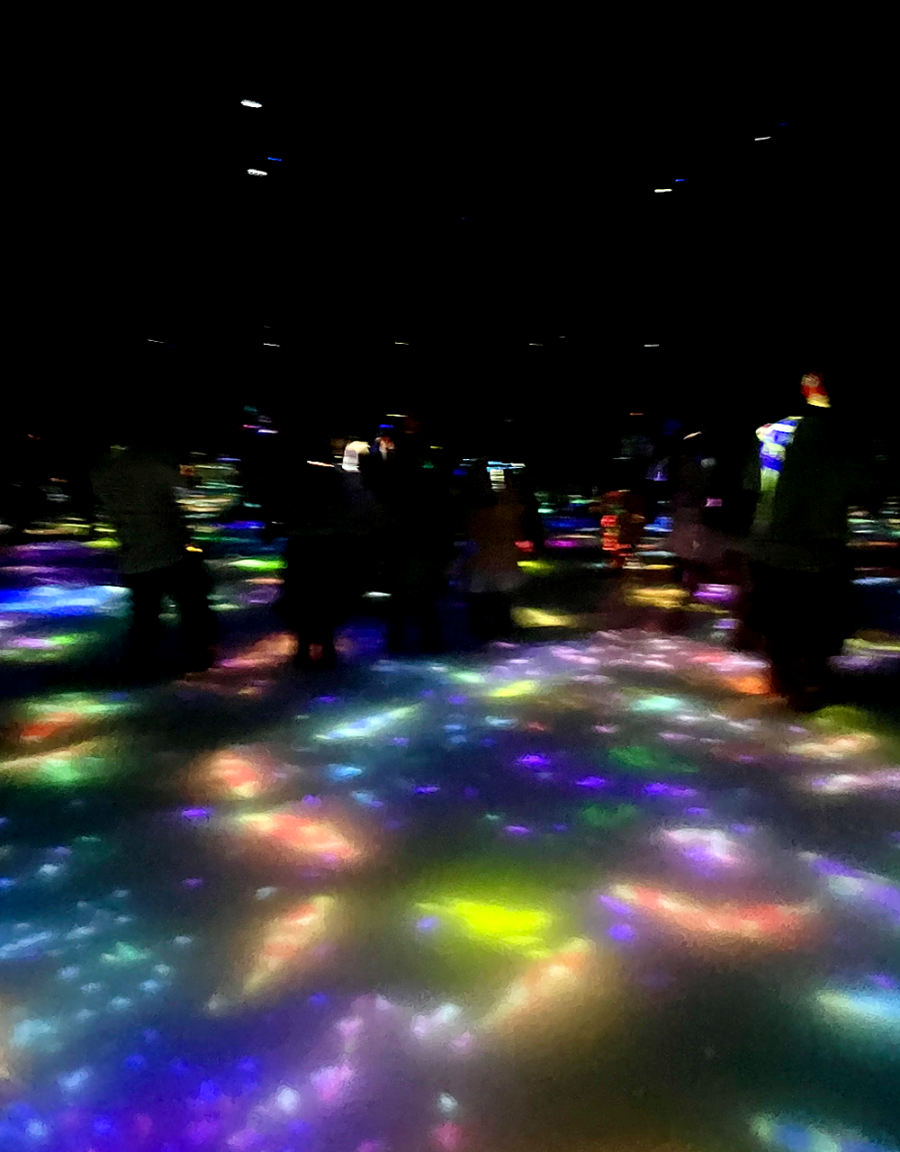 일본 도쿄 팀랩 플래닛 여행-사람과 함께 춤추는 잉어가 그리는 수면 위의 드로잉