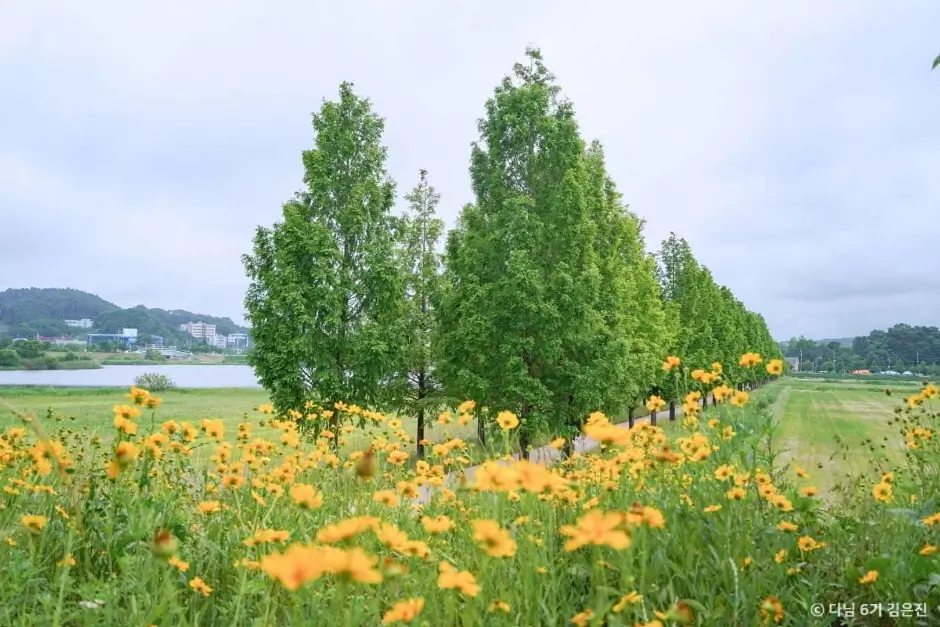 29b672cf-aba6-4624-9289-5f36d9ef7ce1