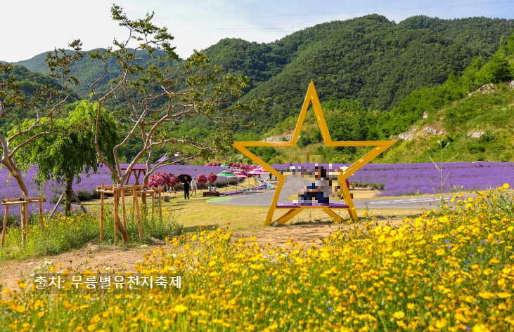 동해 라벤더 축제 무릉별유천지 - 라벤다 향기 가득! 태군노래자랑&middot;버블쇼