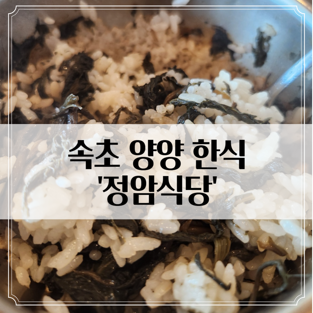 속초 양양 '정암식당' - 아점 한식 후기