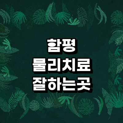 함평군 정형외과