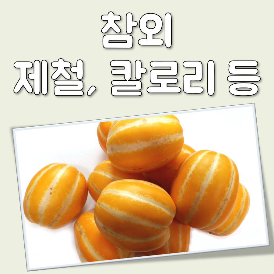 참외와 참외껍질 효능, 제철과 한 개 칼로리까지 대표 이미지