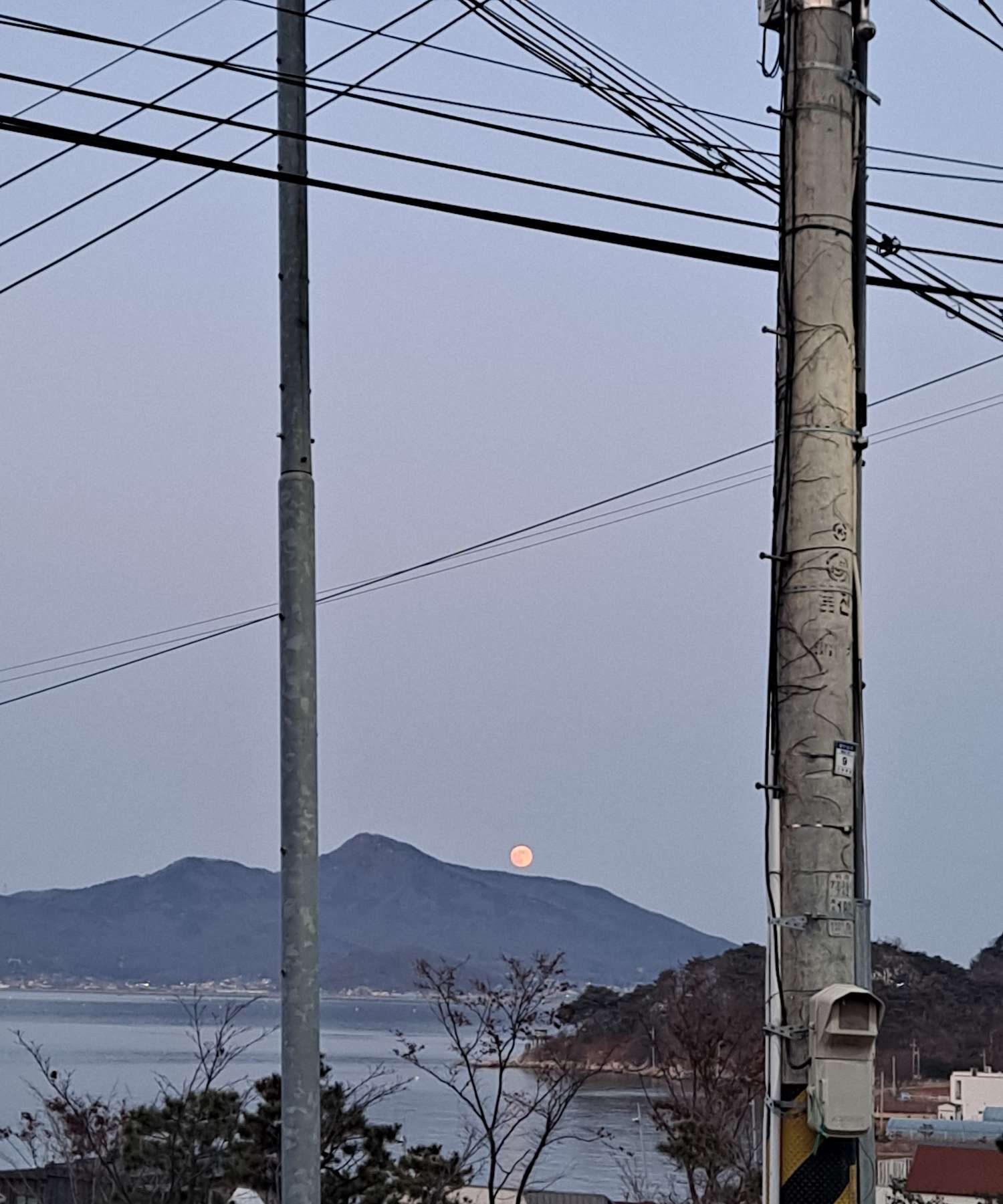 장화리에 달이 뜨다