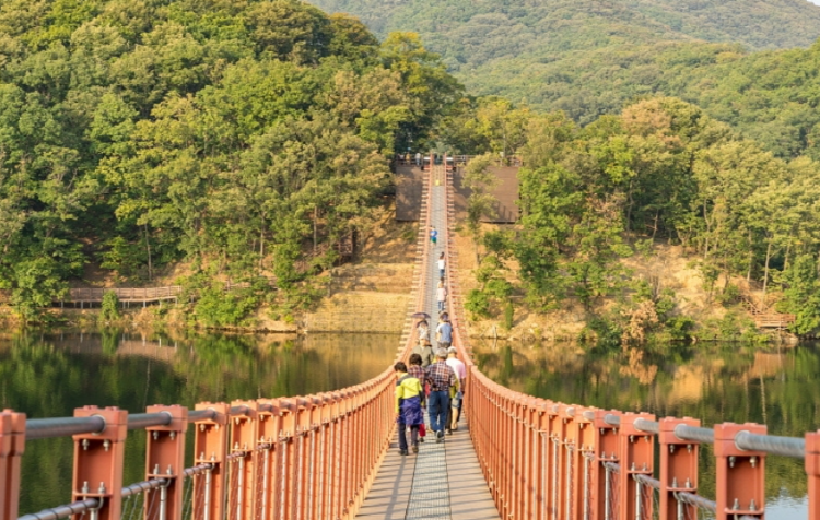마장호수 출렁다리