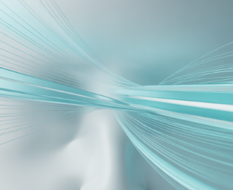 눈에 날파리 현상