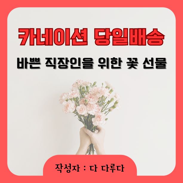 카네이션 당일배송 가능! 바쁜 직장인