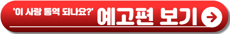 이 사랑 통역 되나요?
