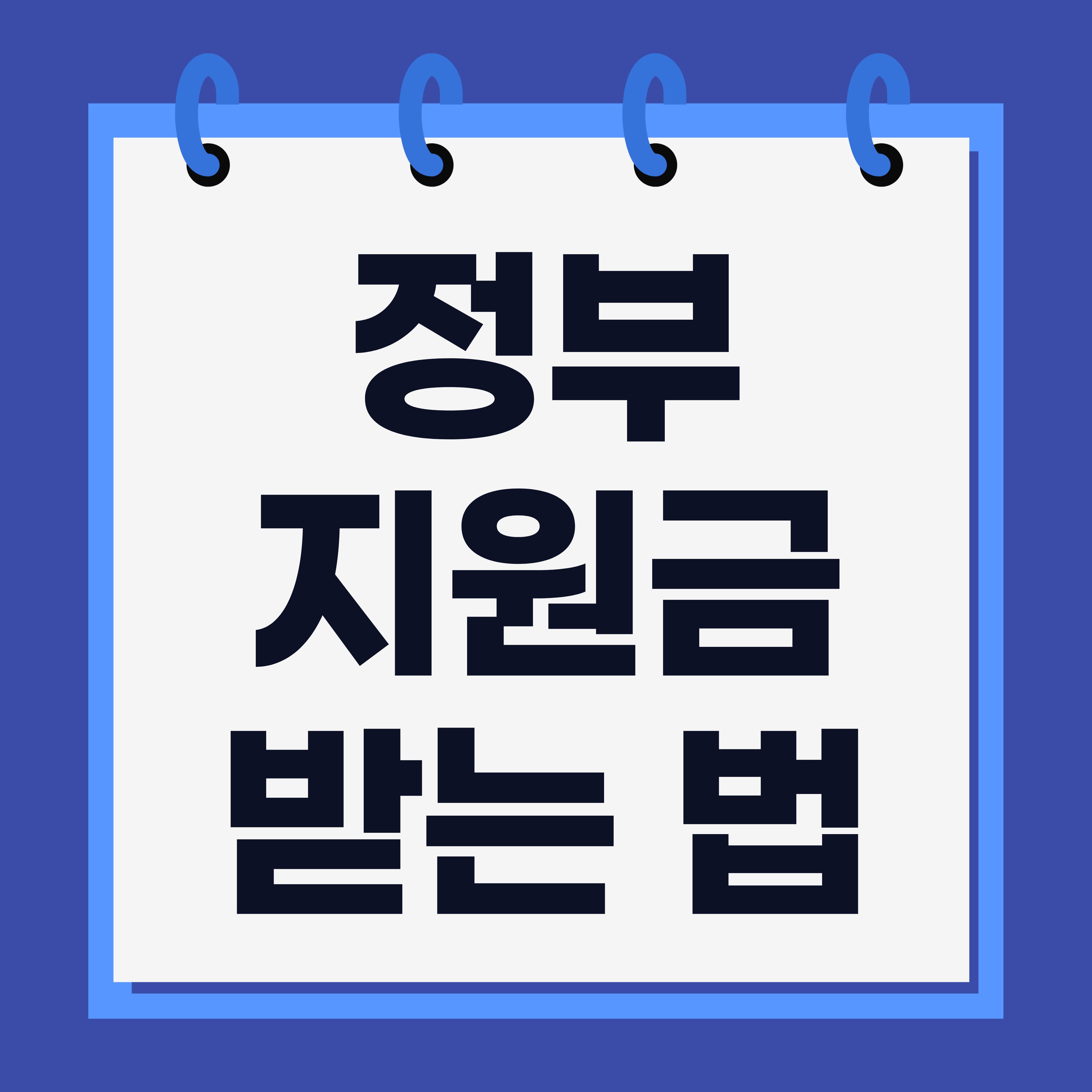 정부지원금