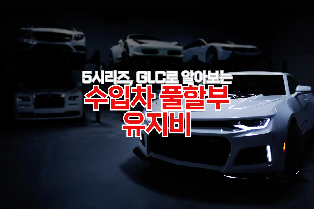 수입차 풀할부 유지비