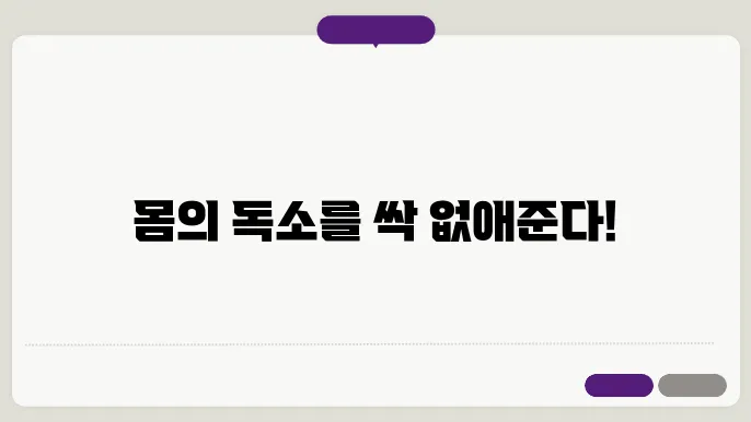 차전자피 효능