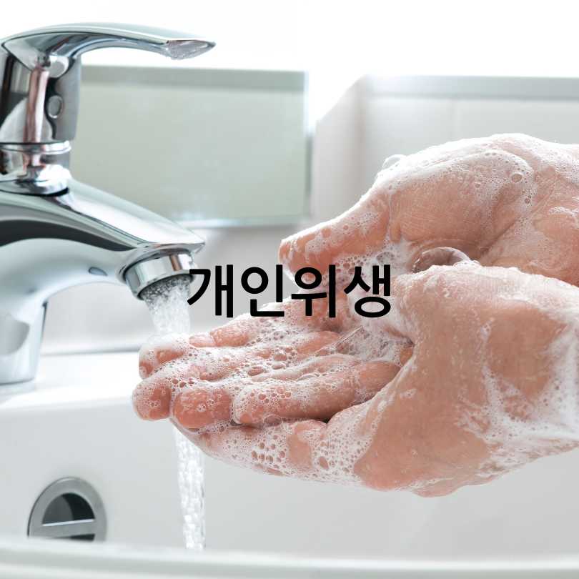 A형독감과 B형독감 차이