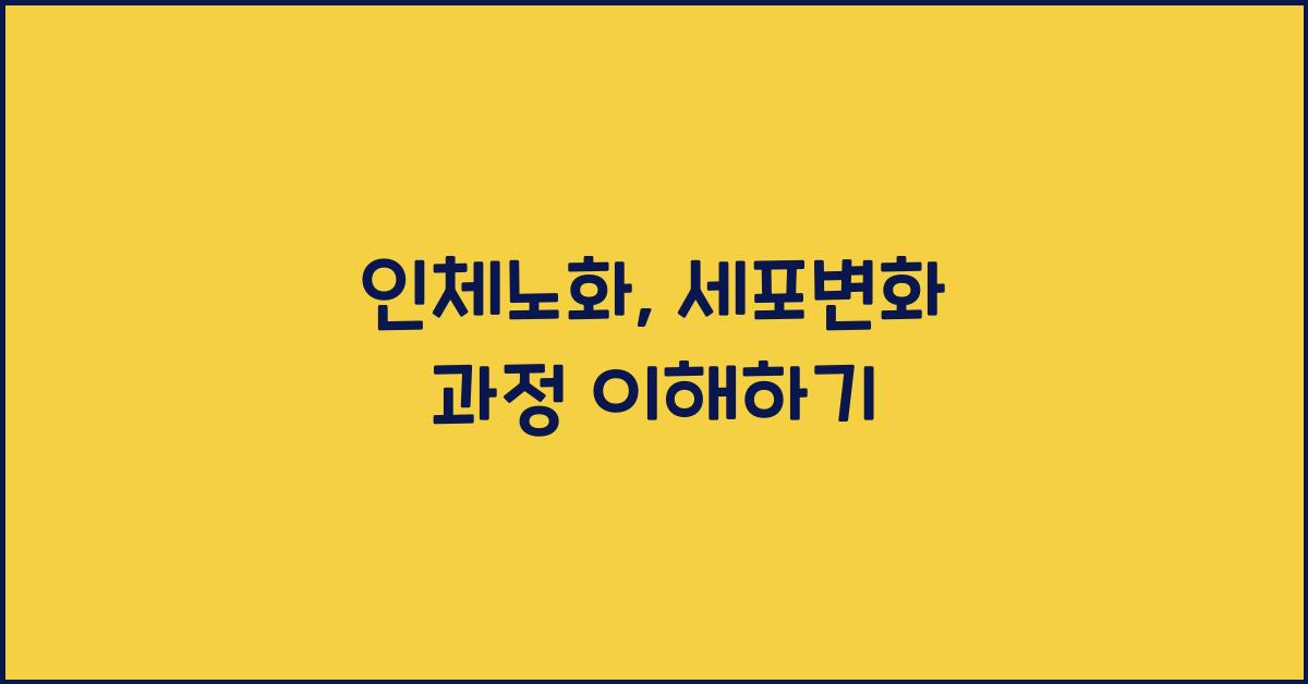 인체노화, 세포변화 과정