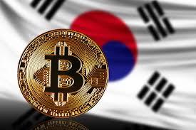 스테이블코인-어디에 투자해야 하지?&rdquo; -투자?