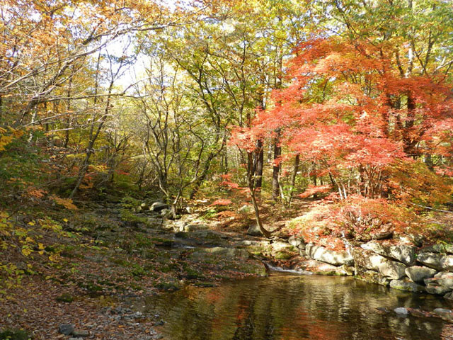 산음자연휴양림 풍경