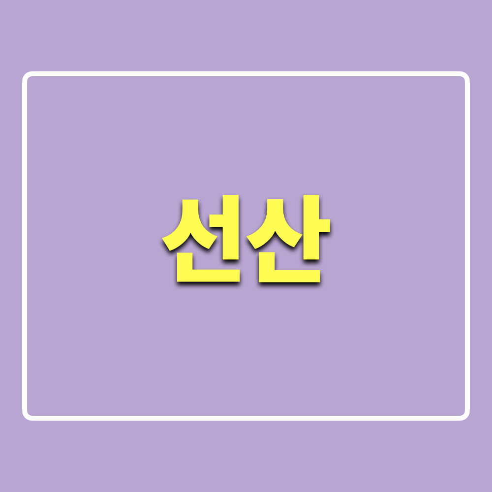 선산_넷플릭스시리즈