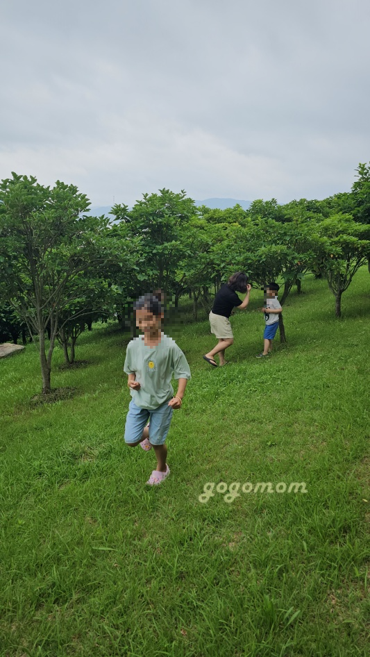 언덕의바람