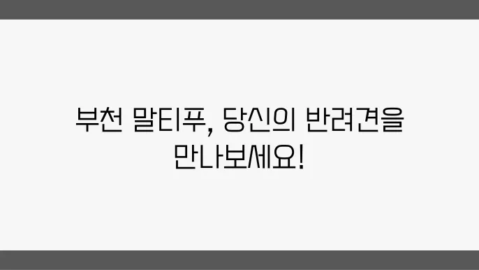 부천말티푸분양 알아봅니다