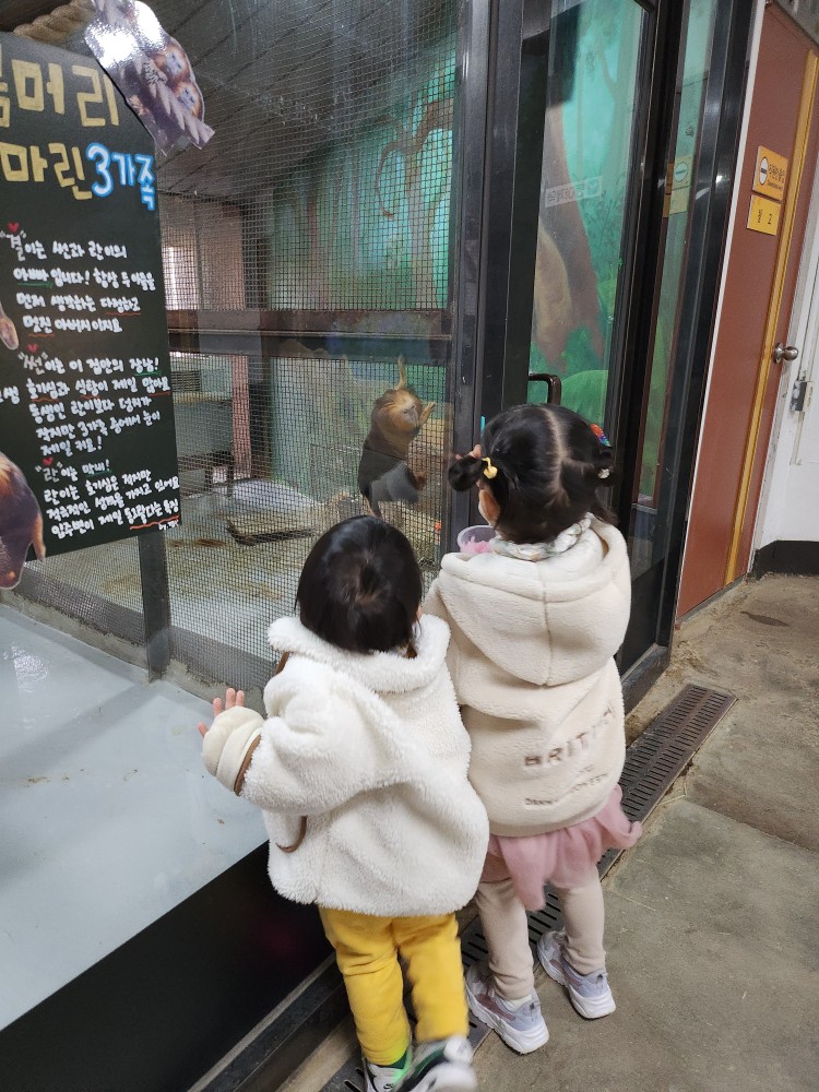 타마린을 보는 아이들