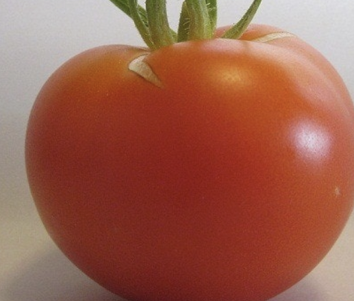 지산지소 뜻 의미