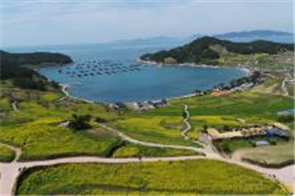 선도 청산도 장고도 위도 이수도 쑥섬 낭도 신수도 생일도 가는 배 시간표2