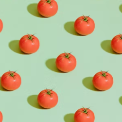 다이어트 식단 추천 레시피 요리