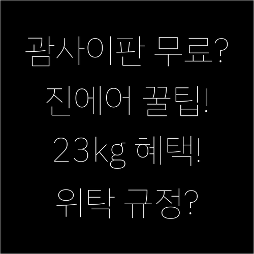 진에어 수하물 규정, 괌 사이판은 2..