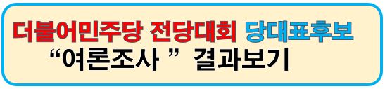 당대표후보 여론조사 결과보기