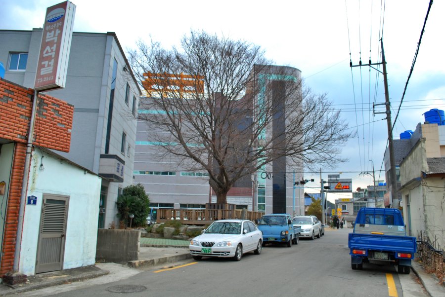 고성군 회화면 배둔리 마을 풍경