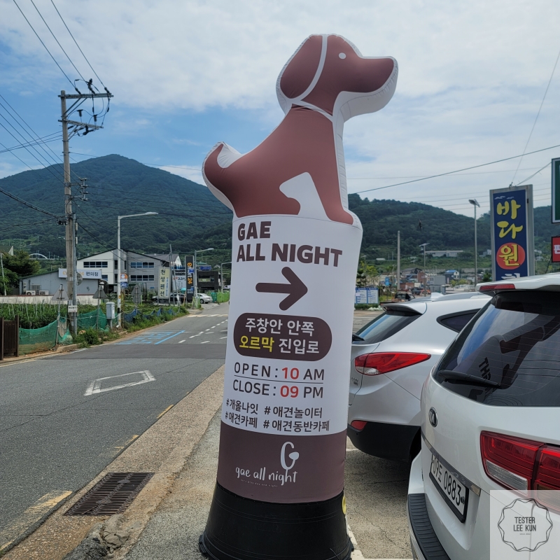 개올나잇-안내풍선