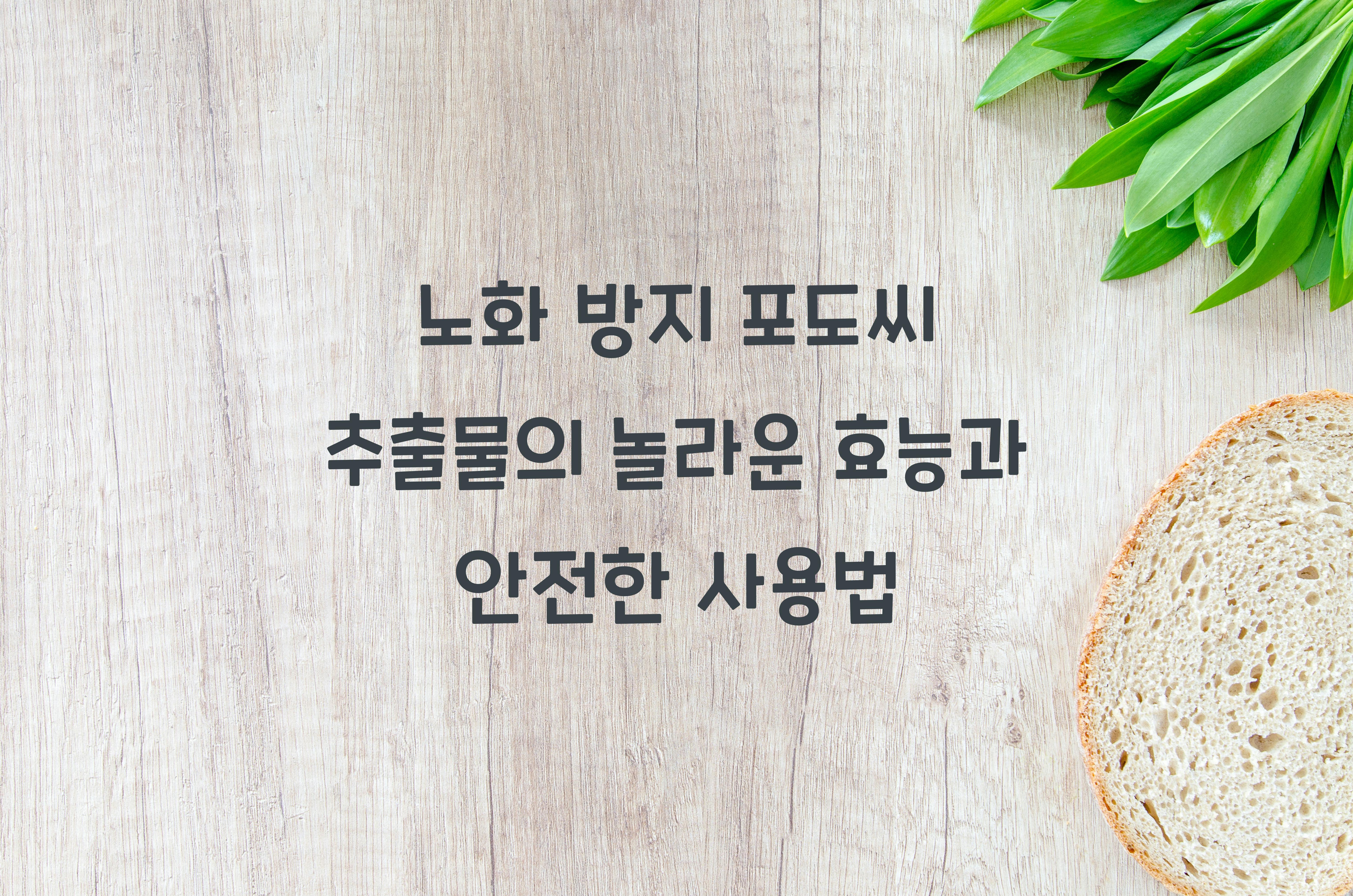 노화 방지 포도씨 추출물